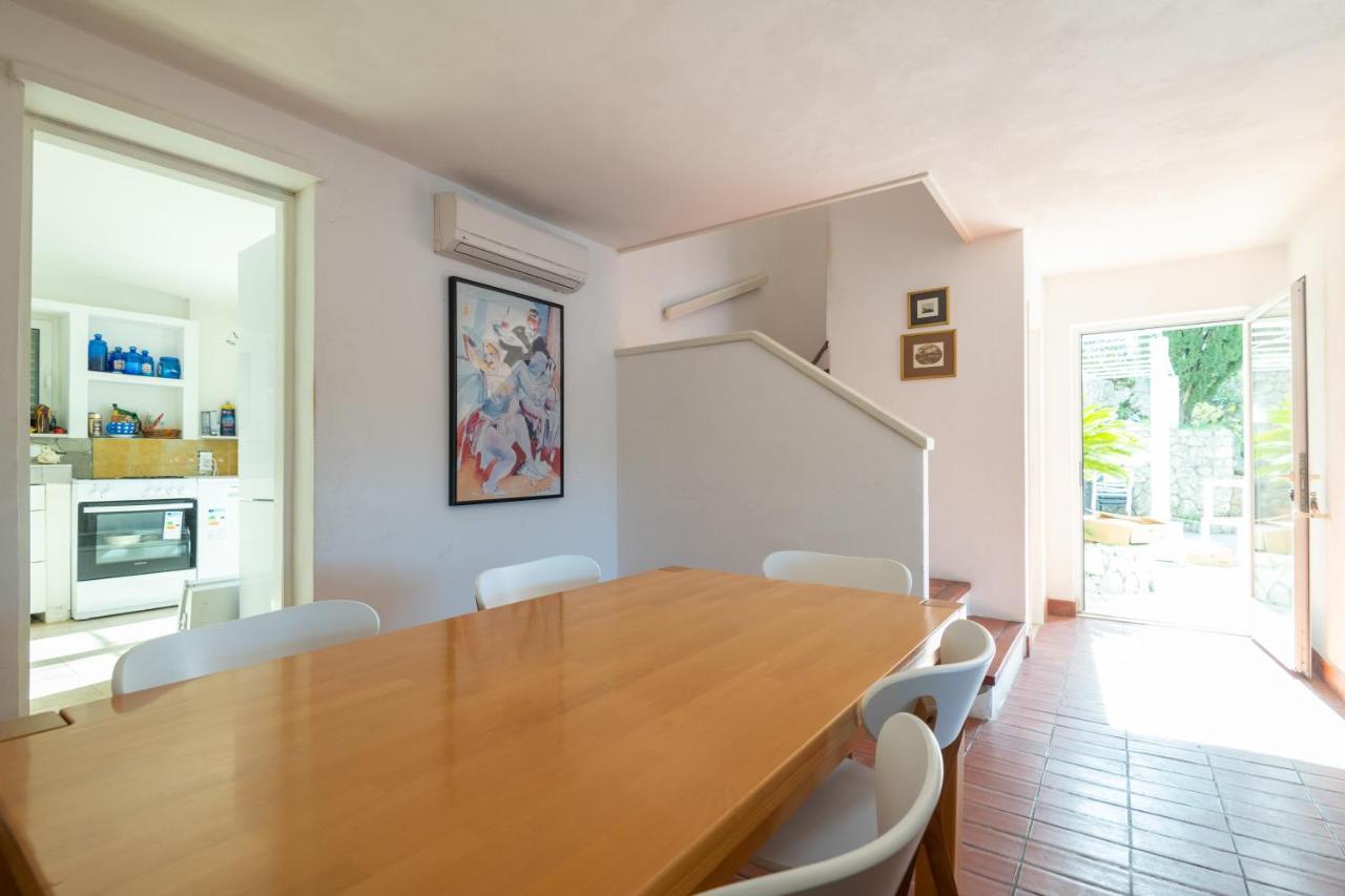 Zaton Holiday home *